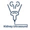 Kidney ultrasound scan icon