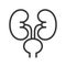 Kidney and urinary bladder, organ related line icon