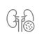 Kidneys with bacteria line icon. Diseased internal organ, pyelonephritis, bacterial urinary tract infection symbol
