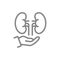 Kidneys on hand line icon. Human organ treatment, disease prevention symbol