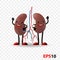 Kidneys. Human internal organ characters