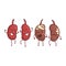 Kidneys Human Internal Organ Healthy Vs Unhealthy, Medical Anatomic Funny Cartoon Character Pair In Comparison Happy