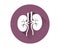 Kidneys icon vector.Human internal organ
