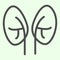 Kidneys line icon. Pair of human kidney organ outline style pictogram on white background. Anatomy and organs signs for