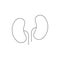 Kidneys line icon. People kidneys outline black shape vector illustration