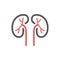 Kidneys line Icon. Vector sign for web graphic.