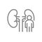 Kidneys with man line icon. Human organ for filtering blood symbol