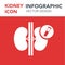 Kidneys medicine organ illustration infographic icon simple vector concept