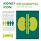 Kidneys organ illustration infographic icon simple vector concept