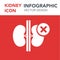 Kidneys organ illustration infographic icon simple vector concept