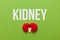 Kidneys of people on a green background. Pain in the genitourinary system, treatment of kidney stones. Chronic and genetic
