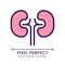 Kidneys pixel perfect RGB color icon