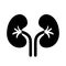 Kidneys vector pictogram