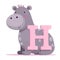 Kids alphabet. Cute grey cartoon hippo, hippopotamus standing near pinkw letter H on white background. Children abc