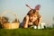 Kids boy hunting easter eggs in park laying on grass on sky background with copy space. Child with bunny ears.