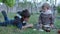 Kids brothers have fun outdoors enjoying game on meadow and watching a sipotic wild hedgehog drink milk from a saucer in