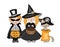 Kids and cat dressing up in different Halloween costumes for party and nolding pumpkin baskets and bags