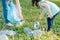 Kids cleaning in park.Volunteer children with a garbage bag cleaning up litter, putting plastic bottle in recycling bag.