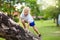 Kids climb tree in summer park. Child climbing