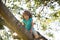 Kids climbing trees. Boy Child climb high up in a tree.