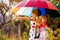 Kids with colorful umbrella playing in autumn shower rain. Little girls play in park by rainy weather.
