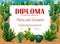 Kids diploma mexican prickly cactus succulents