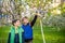 Kids on Easter egg hunt in blooming spring garden. Children searching for colorful eggs on blooming tree. Toddler boy and his