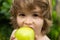 Kids eating apple. Little boy biting apple in sunny garden. Healthy nutrition for kids. Solid food for infant.