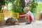 Kids feed animals at petting zoo