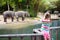 Kids feed elephant in zoo. Family at animal park