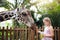 Kids feed giraffe at zoo. Children at safari park