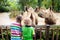 Kids feed rhino in zoo. Family at animal park