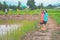 Kids feeding to fish and walking on garden in raral