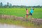 Kids feeding to fish and walking on garden in raral