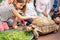 Kids feeding turtle in EDINBURGH BUTTERFLY and INSECT WORLD.Selected focus