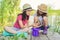 Kids girls sitting on wooden pier, catching water snails in bucket