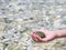 Kids hand holding urchin shell over the sea water