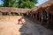 Kids having fun with a bicycle in a Thai village