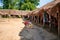 Kids having fun with a bicycle in a Thai village