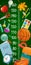Kids height chart with cartoon school stationery