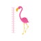 Kids height chart and flamingo. Exotic bird with pink feathers, yellow beak and long thin legs. Wall decor for children