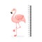 Kids height chart and flamingo. Exotic bird with pink feathers, yellow beak and long thin legs. Wall decor for children