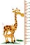 Kids height chart with giraffes