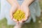 Kids holding tiny yellow flowers in hands