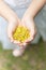 Kids holding tiny yellow flowers in hands