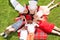 Kids laying on grass and doing a glasses gesture