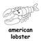 Kids line illustration coloring american lobster. animal outline