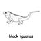 Kids line illustration coloring black iguanas. outline vector for children. cute cartoon characters