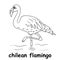 Kids line illustration coloring chilean flamingo. outline vector for children. cute cartoon characters