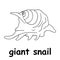 Kids line illustration coloring giant snail. outline vector for children. cute cartoon characters